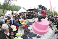 광명동굴 와인 메카되나?…21일 와인페스티벌 개막