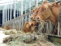 장흥군 풀로만 목장,  팜파티 행사 ‘성료’