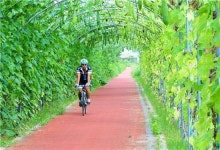 [포토]담양오방길 “자전거도로 가을정취 물씬”