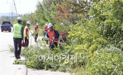 [포토]광주시 북구, 추석맞이 쾌적한 가로 환경정비 실시