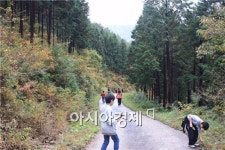 곡성군, ‘숲 체험하기 좋은 농촌체험마을 10선’선정