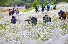 “가을의 서정을 만끽하세요!”
