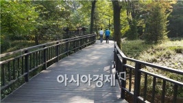 휠체어·유모차도 가뿐 …14일 관악산 무장애 숲길 체험 행사