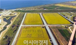 [포토]하늘에서 본 황금빛 ‘생명의 땅 전남’