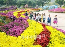 [포토]오색찬란한 함평국화축제장