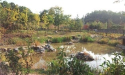 노원구 불암산 자락에 자연마당·생태학습관·자락길 조성