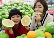 [포토]이마트 제철 맞은 메로골드 자몽 드셔보세요