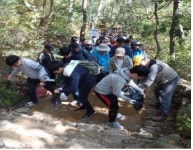 청계산 등산로 정비