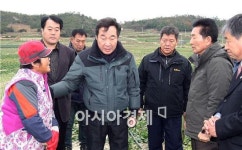 이낙연 전남도지사, 신안 시금치 병해 현장 방문