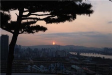 성동구 응봉산에서 새해 소망 빌어봐요