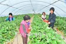 순창군, 농업·농촌 예산 820억 투자