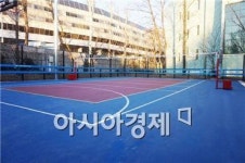 서울시, 잠실종합운동장 내 다목적구장 개소