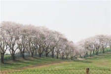 [때때로 여행가의 밥] 서산 해미읍성과 짬뽕집
