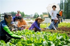 전남대 2016도시텃밭’분양