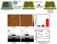 감염 위험 없는 맞춤형 줄기세포 배양한다