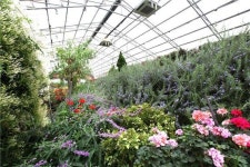 포천 허브아일랜드 특별한 봄꽃축제로 오세요