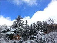 ‘2月 가보고 싶은’ 국립덕유산자연휴양림