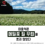[카드뉴스]이효석은 메밀꽃 필 무렵을 쓰지 않았다