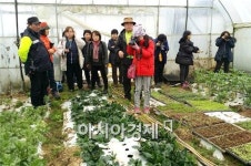 전국 블로그 기자단 순창의 매력에 빠지다