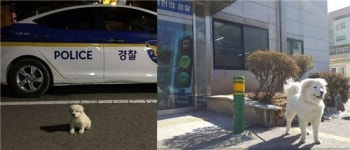 옥구지구대 마스코트 옥도리의 폭풍성장