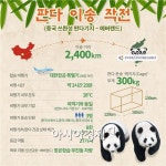 쓰촨성에서 에버랜드까지 2400km 판다 이송 작전