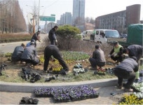 가로수·녹지대 새봄맞이 분주