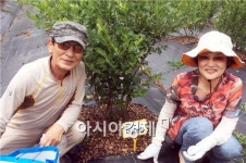 순창군, 인기 고공행진 블루베리·매실 농장 분양
