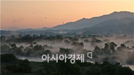 자연을 만나는 여행, 곡성 ‘섬진강 침실습지’