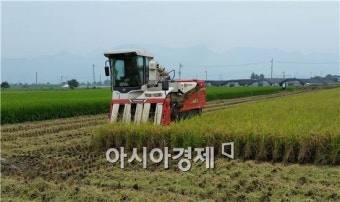 남아도는 쌀 해외원조 나선다