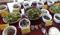 순창, 느림의 미학 슬로푸드 마을 조성 본격화