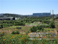 전국최대 성남시민농원 9일 개장…8만㎡에 3680명 참여