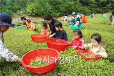 “신이 내린 최고의 선물 보성녹차 드시로 오세요