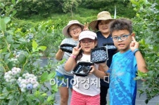 순창군 농업기술센터, 블루베리 분양농장 설명회 성료