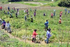 순창군, 도시민과 함께하는 참두릅 어울마당 개최