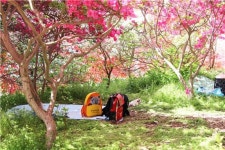 [때때로 여행가의 밥] 완산공원 꽃동산과 전주비빔밥