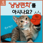 [카드뉴스] 냥냥펀치란 말… 알고보니 야하네