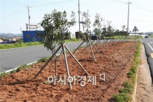 영암군 신북면, “도로변 화단?꽃길조성”눈길