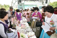 보성차 멋내기, 티아트페스티벌 개최