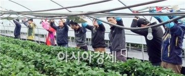 농협광주농산물물류센터 농심(農心)으로 한가득