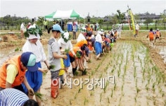 전남도농업박물관서 모내기 체험하세요