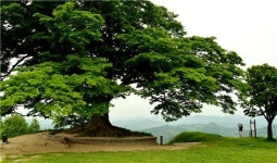 [여행만리]백제의 魂, 천년 사랑을 지켰구나