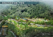 대전시, ‘장태산 자연휴양림’ 내 캠핑장 조성