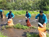 [포토] 강남구, 세곡천 수질 정화