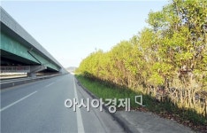 함평역 보행자 도로, 15년만에 개설된다