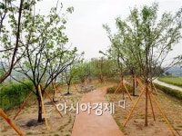 고창군 ‘아름다운 마을’에 나눔 숲이 생겼어요