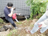 한국농어촌공사 장흥지사, 함께 가꾸는 농촌운동 실시