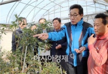이낙연 전남도지사, 곡성 친환경육묘장 등 영농현장 살펴