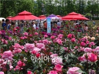 [포토]곡성세계장미축제장 ~상춘객 인산인해