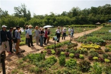 서울도시농업박람회 국제컨퍼런스 도시농업 투어
