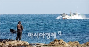 조개 캐고 갯바위 낚시하다 매년 130명 죽는다